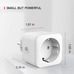 Розумна розетка для тераріуму Smart WI-FI
