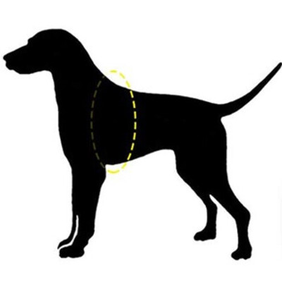Шлея посилена Pet Nova Rescue+ XL 70-90 см Чорний