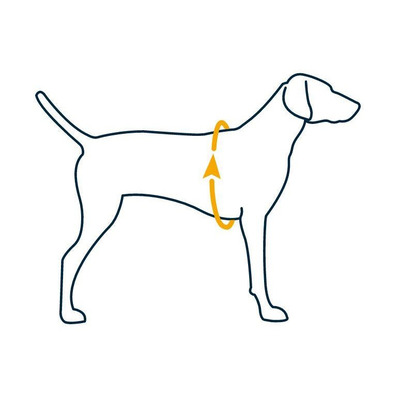 Шлея посилена Pet Nova Rescue+ XS 30-40 см Чорна