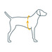 Шлея посилена Pet Nova Rescue+ XS 30-40 см Чорна