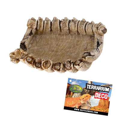 Чаша для тераріуму Reptile Nova Кістки 14x13x4 см Чаша для тераріуму Reptile Nova Кістки 14x13x4 см