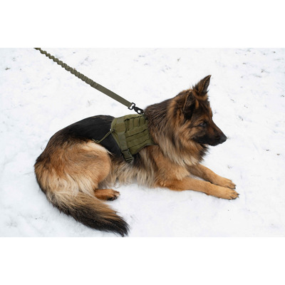 Повідець для собак з розтягненням Pet Nova Tactic 100-140см 25мм хакі