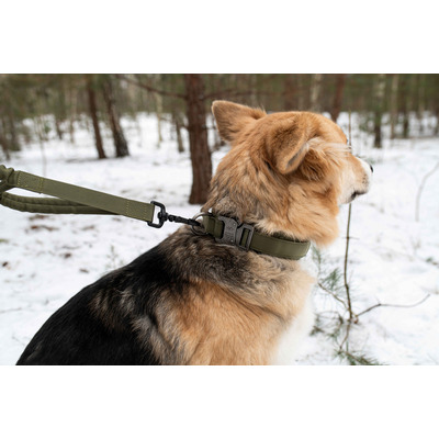 Повідець для собак з розтягненням Pet Nova Tactic 100-140см 25мм хакі