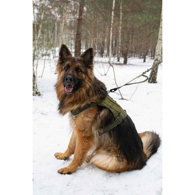Повідець для собак з розтягненням Pet Nova Tactic 100-140см 25мм хакі