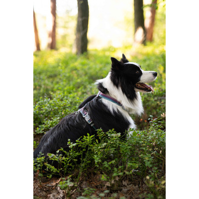 Водонепроникна шлейка Pet Nova Wproof-Mars регульована Розмір M Водонепроникна шлейка Pet Nova Wproof-Mars регульована Розмір M