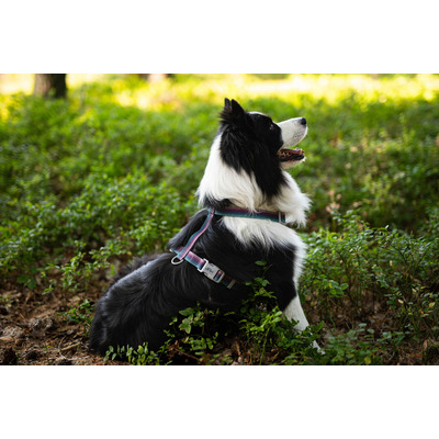 Водонепроникна шлейка Pet Nova Wproof-Mars регульована Розмір M Водонепроникна шлейка Pet Nova Wproof-Mars регульована Розмір M