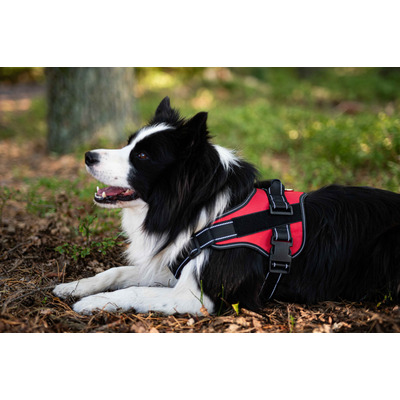 Шлея посилена Pet Nova RESCUE регульована Розмір XL Червона