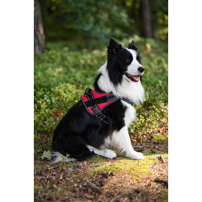Шлея посилена Pet Nova RESCUE регульована Розмір XL Червона