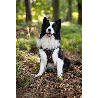 Шлея посилена Pet Nova RESCUE регульована Розмір XL Червона