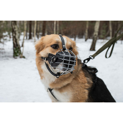 Намордник PetNova металевый з підкладкою зі шкіри розмір XL 50-12см Намордник PetNova металевый з підкладкою зі шкіри розмір XL 50-12см