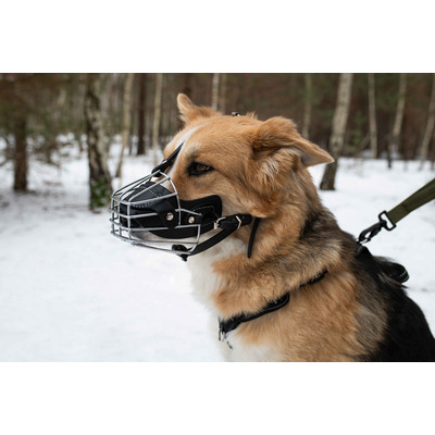 Намордник PetNova металевый з підкладкою зі шкіри розмір XL 50-12см Намордник PetNova металевый з підкладкою зі шкіри розмір XL 50-12см