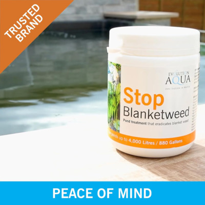 Препарат від ниткоподібних водоростей Stop Blanketweed 4,0кг.