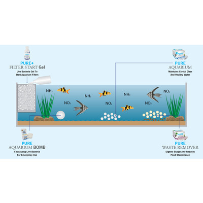 Корисні бактерії для акваріуму Evolution Aqua PURE Aquarium 50шт