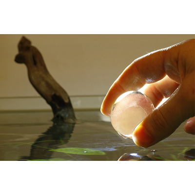 Швидкодіючі бактерії Evolution Aqua Pure Aquarium Bomb для акваріуму
