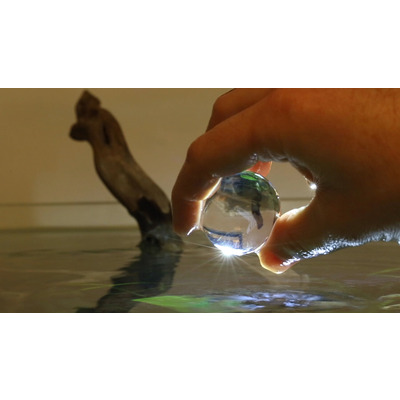 Швидкодіючі бактерії Evolution Aqua Pure Aquarium Bomb для акваріуму